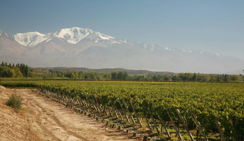 vale dos vinhedos na argentina